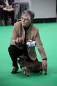 Crufts2011_2 705